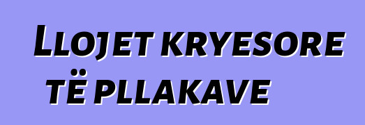 Llojet kryesore të pllakave