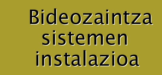 Bideozaintza sistemen instalazioa