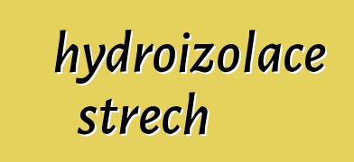 hydroizolace střech