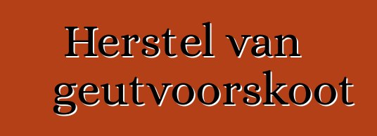 Herstel van geutvoorskoot