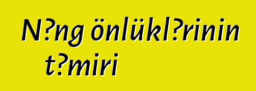 Nəng önlüklərinin təmiri