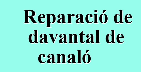 Reparació de davantal de canaló