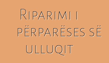 Riparimi i përparëses së ulluqit