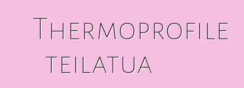 Thermoprofile teilatua