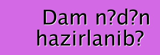 Dam nədən hazırlanıb?