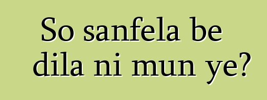 So sanfɛla bɛ dila ni mun ye?