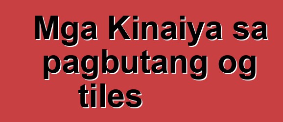 Mga Kinaiya sa pagbutang og tiles