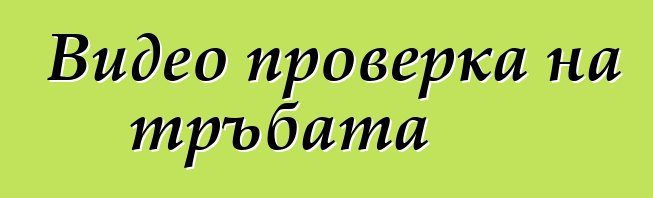 Видео проверка на тръбата