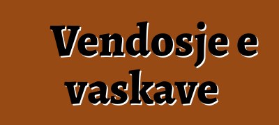 Vendosje e vaskave