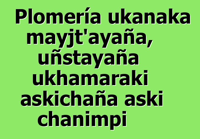 Plomería ukanaka mayjt’ayaña, uñstayaña ukhamaraki askichaña aski chanimpi