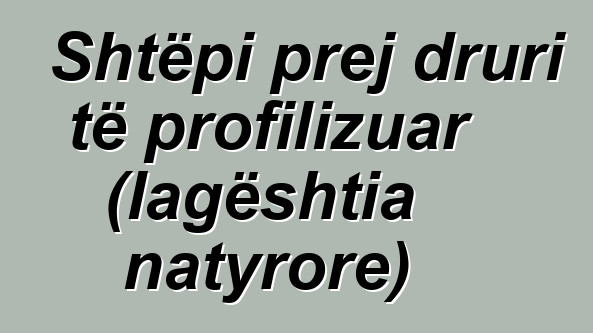 Shtëpi prej druri të profilizuar (lagështia natyrore)