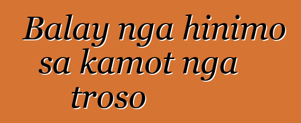 Balay nga hinimo sa kamot nga troso