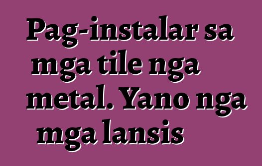 Pag-instalar sa mga tile nga metal. Yano nga mga lansis