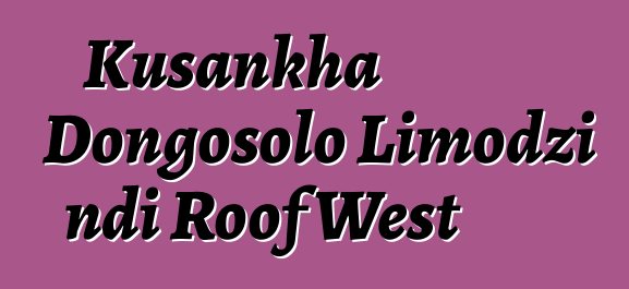 Kusankha Dongosolo Limodzi ndi Roof West